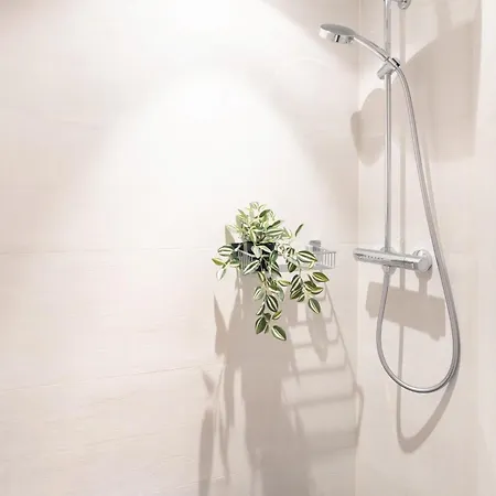 Brockenoase Fullhouse